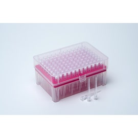 neoLab® 200 µl Filterspitzen, steril, DNase und RNase frei