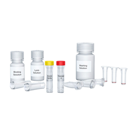 IST Innuscreen innuPREP DNA Forensic Kit, 250 Reaktionen