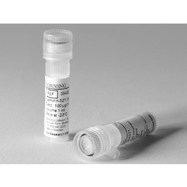 Falcon® rLaminin-521, Human, 100µg Vial