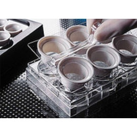 Corning® Netwell™ Reagent Tray, White, Nonsterile