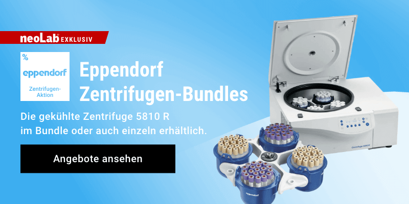 Der sekundäre Aktionsbanner für die Startseite - Desktop-Ansicht