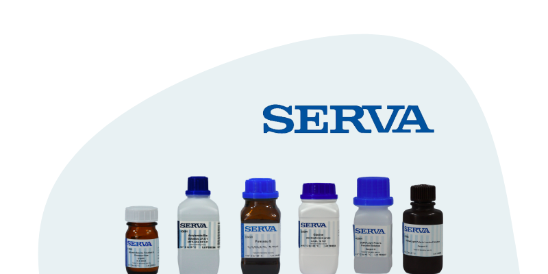 Header Grafik