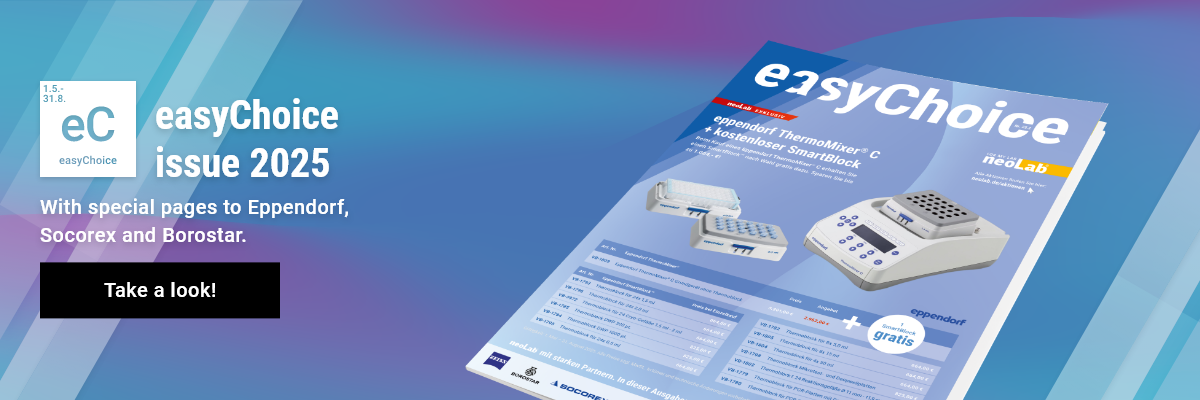 Der Haupt-Aktionsbanner für die Startseite