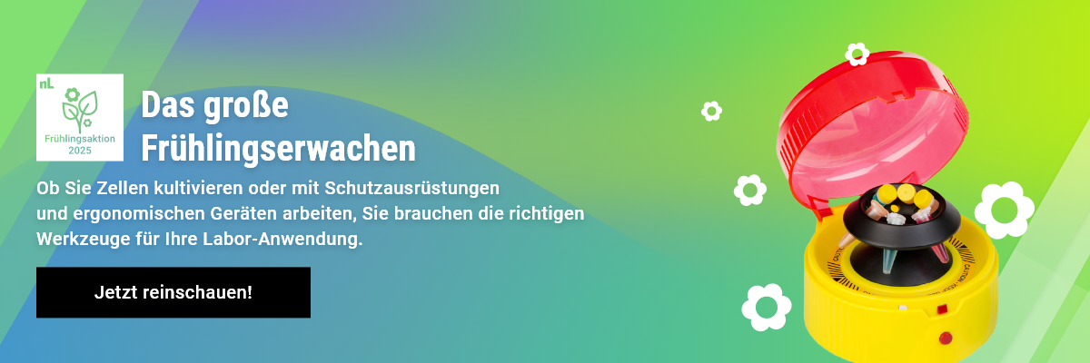 Der Haupt-Aktionsbanner für die Startseite