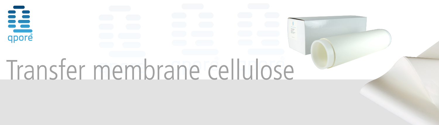 qpore® - Transfer membrane 
