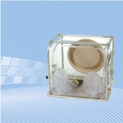 Basic Glove Boxen